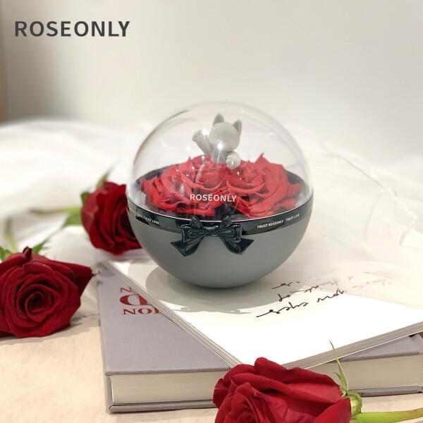 ROSEONLY プリザーブドフラワー ハニーラビットとデスティニーローズ