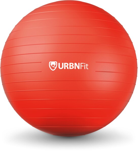URBNFit バランスボール エクササイズ ボール 65cm