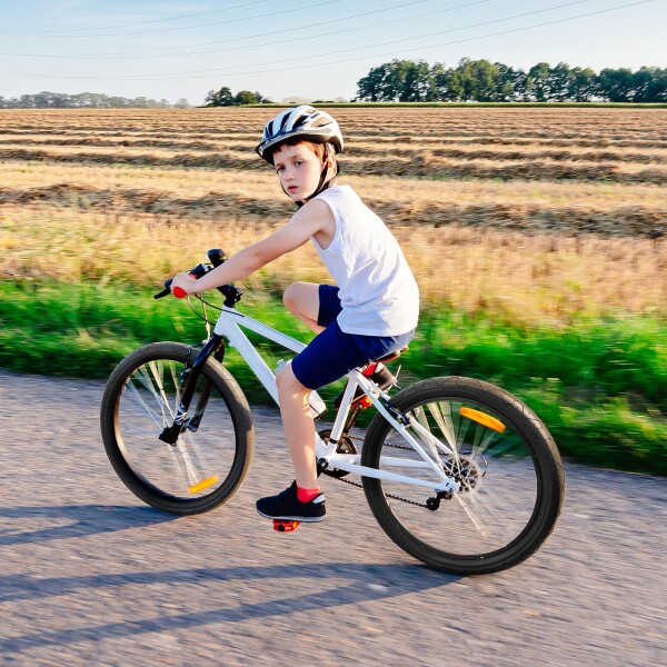 YunSCM 2本セット,20 2.125 タイヤ,20x2.125 57-406 自転車タイヤ+ 20x1.75/2.125 チューブ米式バルブ32mm+タイヤレバー,適用 20インチ 2.125 マウンテンバイク、子供用自転車,Y-1099