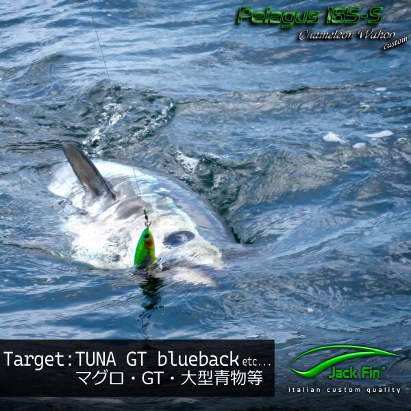 Jack Fin(ジャックフィン) シンキングペンシル PELAGUS ペラガス 165S