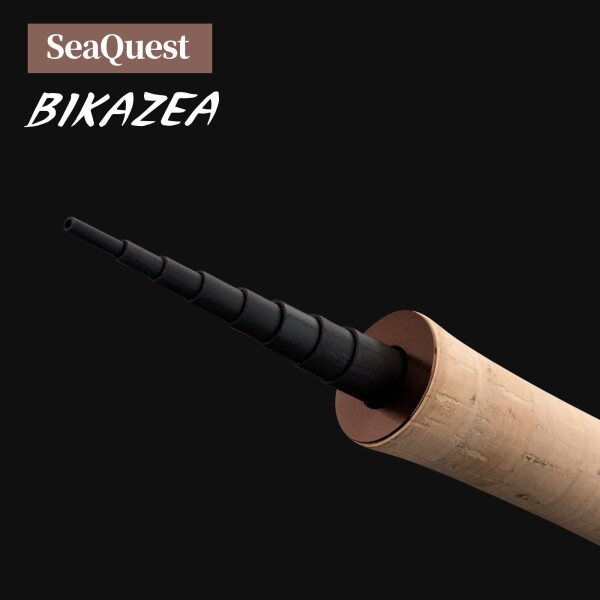 船竿 SeaQuest BIKAZEA 9'10