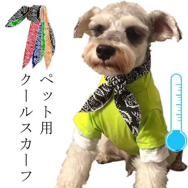 クールバンド 冷却 犬 クールバンダナ お散歩 クール ネッククーラー 暑さ対策 送料無料 チョーカー クールネック 首輪 可愛い 首輪 猫 の通販はau Pay マーケット ｓｕｎｆｌｏｗｅｒ
