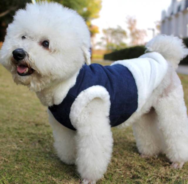 保温 ソフト 中型犬 スウェット 犬服 冬 おしゃれ ペット服 長袖 無地 防寒対策 ドッグウェア もこもこの通販はau Pay マーケット ラッキースマイルプラザ