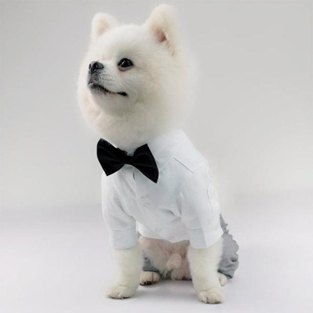 リングドッグ プレゼント 結婚式 男の子 服 シャツ スーツ 記念日 フォーマル タキシード ドッグ グレーの通販はau Pay マーケット ラッキースマイルプラザ