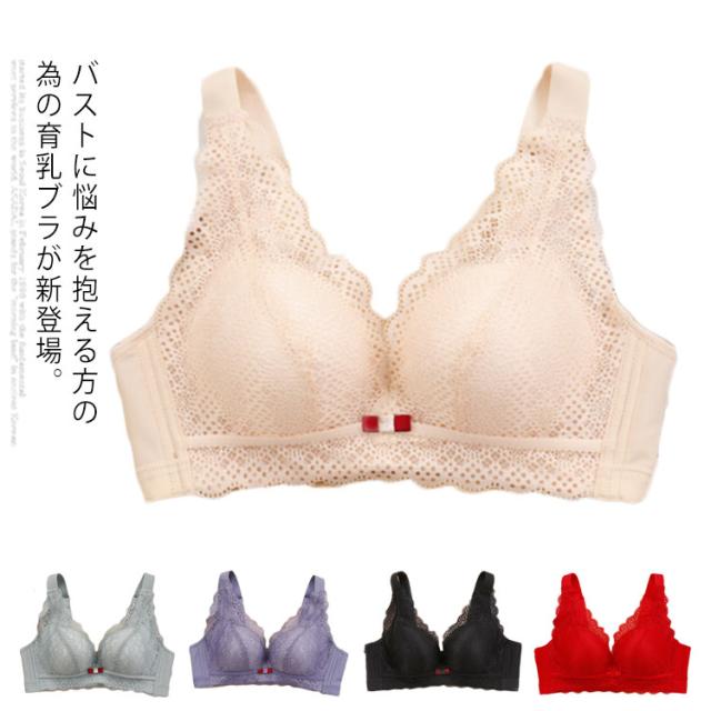 ブラジャー ノンワイヤー 寄せブラ 育乳ブラ 補正下着 美胸 インナー レース つけ心地 大きい胸 バストアップ 胸チラ 脇高 脇肉 谷間メイの通販はau Pay マーケット プレッピー