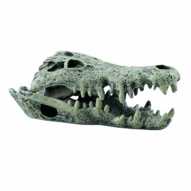 恐竜 頭蓋骨 ワニ 水槽オブジェ 水槽 アクアリウム オーナメント 置物