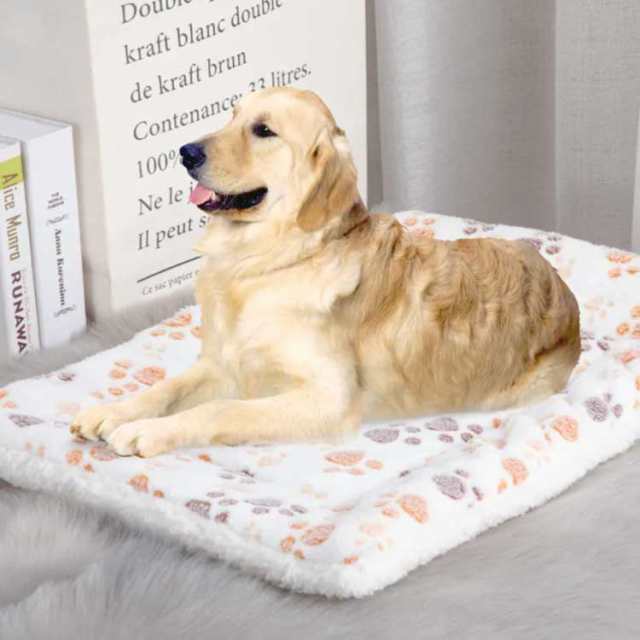 敷物 星柄 猫用 犬用 毛布 保温 ブランケット ベッド ペット用品 ペット用 マット もこもこ 肉球 送料無料 骨 アルファベット柄 足跡柄  の通販はau PAY マーケット - NEXT | au PAY マーケット－通販サイト