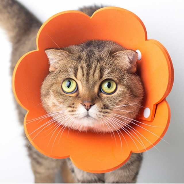 犬用 猫用 リザベスカラー ペット用 ソフト お花 簡単装着 首まり 柔らかい素材 犬用 介護用品 手術 怪我 術後 軽量の通販はau PAY  マーケット NEXT au PAY マーケット－通販サイト