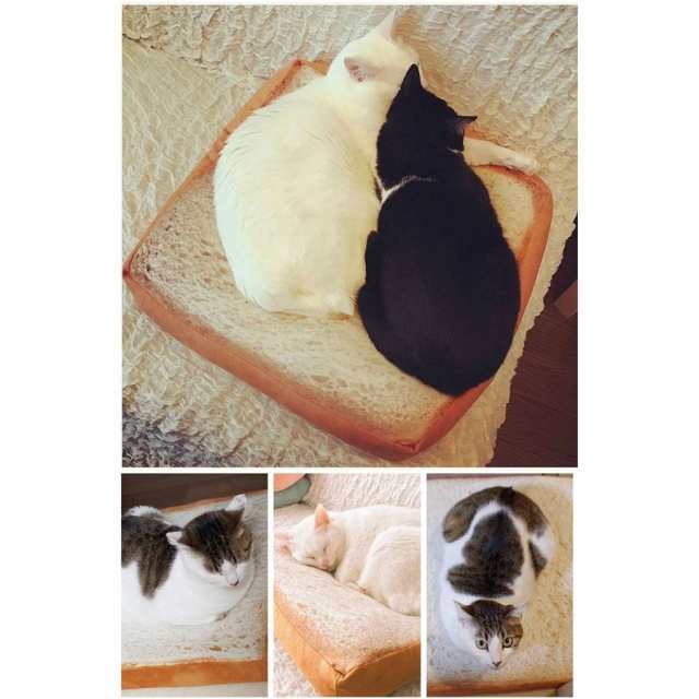 ベッド ペット用 食パンモチーフ クッション マット 40cm