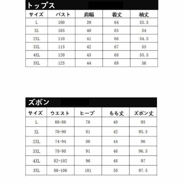セットアップ レディース カジュアル 40代 春秋 長袖 2点セット ブラウス シャツ Vネック ガウチョパンツ フォーマル 大きいサイズ  おしの通販はau PAY マーケット - MMC