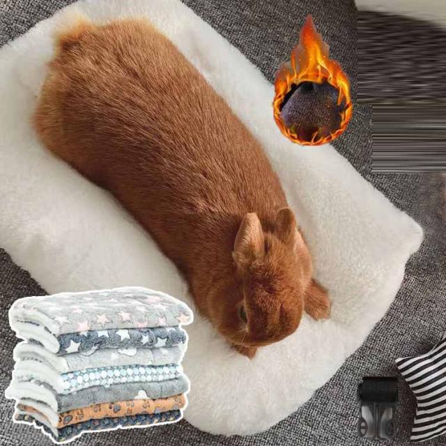 『タイムセール』食パンふわふわベット♡うさぎちゃん タイムセール』食パンふわふわベット♡うさぎちゃん トースト