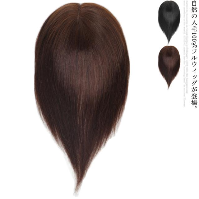 ウィッグ フルウィッグ 人毛100% 医療用ウィッグ ストレートウィッグ 自然  医療用 かつら 女性用 かつら 黒髪 ブラウン髪 送料無料 ショート ミディアムヘア セミロングウィッグ 薄毛 脱毛症 白髪隠し