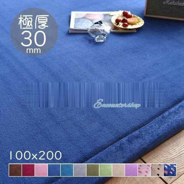 カーペット ラグマット 絨毯 おしゃれ ラグ 厚手 洗える 北欧 200 250 300 3畳 6畳 100×200 極厚30mmの通販は