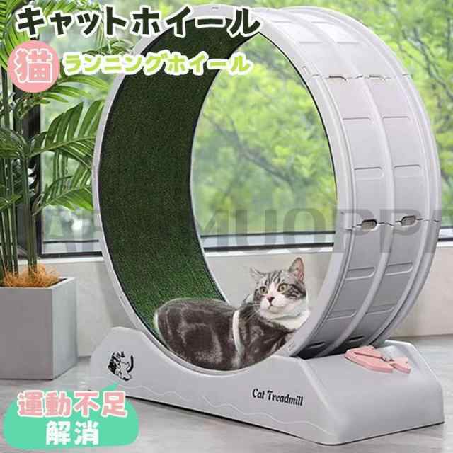 中古】 ひとりっ子・ふたりっ子の育児学 / 依田 明 / くもん出版
