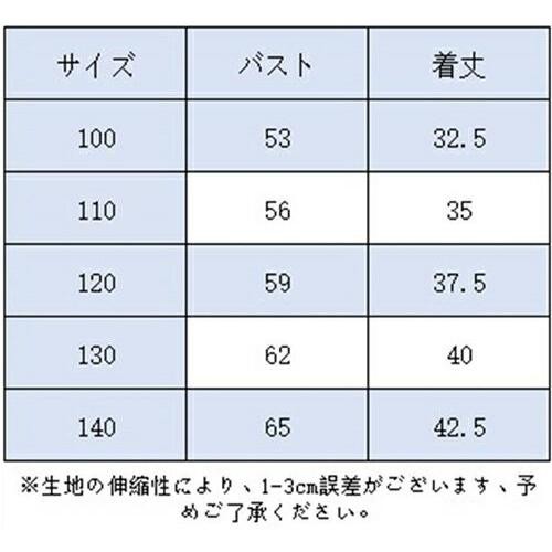 スクール水着 セパレート 2点セット 女の子 100 キッズ水着 スクール水着 小学生 女子 中学生 おおきいサイズ 競泳水着 スクール 水着 子供 水着 子供用フィットの通販は