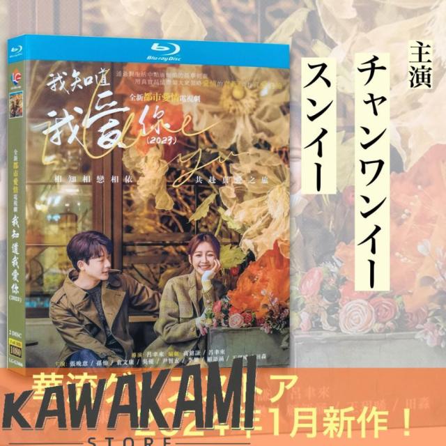 まじめにふまじめ かいけつゾロリ 13 [DVD]