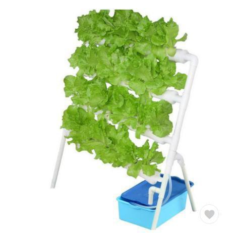 水耕栽培キット すいこう栽培キット 野菜 栽培キット 室内 いちご 家庭菜園 水耕栽培セット プランター 36穴