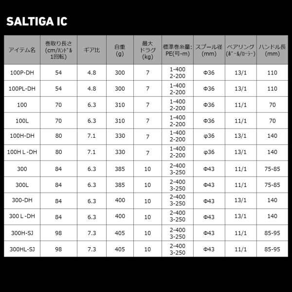 ダイワ(DAIWA) ジギング 21 ソルティガIC 300