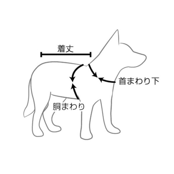 EZYDOG(イージードッグ) スポーツ DFDブースト レッド 犬 S サイズ