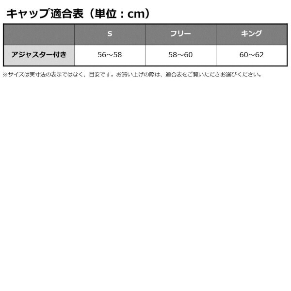 ダイワ(DAIWA) バイザー DC-6023T メンズ ブラック 釣り フィッシング