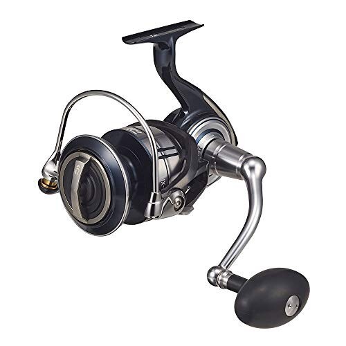 ダイワ(DAIWA) 21 セルテートSW 14000-XH