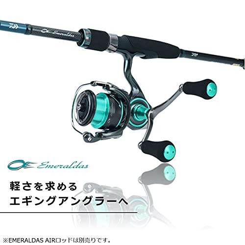 ダイワ(DAIWA) 21 エメラルダス エア FC LT2500S