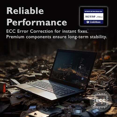 LinkMore XG550 256GB 2.5インチ 内蔵SSD SATAIII 6Gb/s (読込最大500MB/s)の通販は