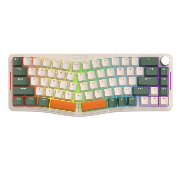 AKS068 ゲーミングキーボード アリスレイアウト 68キーアンチゴーストキー Gasket構造 ホットスワップ可能 人間工学 南向きのRGBバックライト 両側RGBライトPBTキーキャップ Type-C有線 Windows Vi