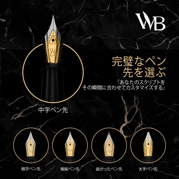 ワーズワース & ブラック 万年筆セット 中字 インクカートリッジ6本とインク詰め替えコンバーター付き ギフトケース ジャーナリング カリグラフィー 滑らかな書き心地のペン (銀金) 男_3
