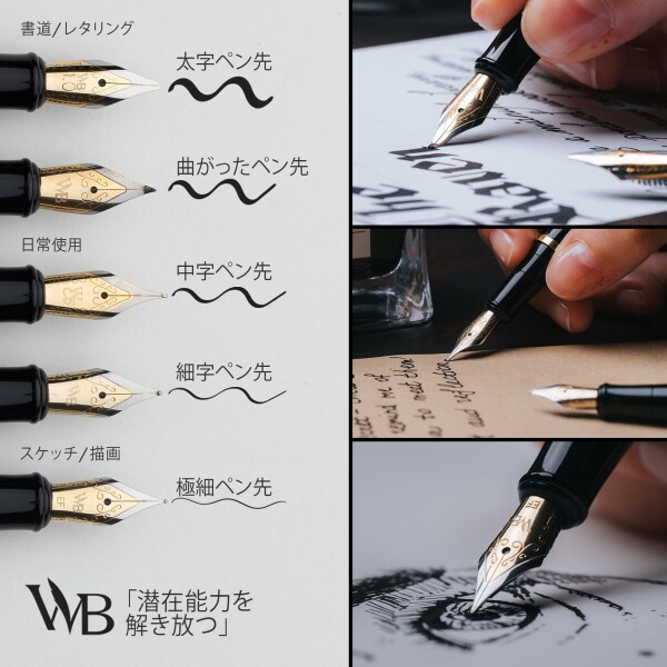 ワーズワース & ブラック 万年筆セット 中字 インクカートリッジ6本とインク詰め替えコンバーター付き ギフトケース ジャーナリング カリグラフィー 滑らかな書き心地のペン (銀金) 男_4