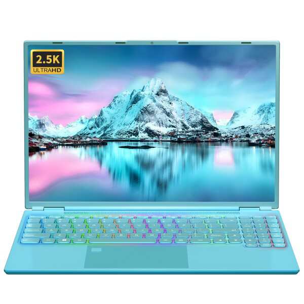 ノートパソコン16インチ2.5K FHD(2560x1600) IPS 高速静音CPU Celeron N5095 2.0~2.9Ghz/メモリ:DDR4 1６GB Webカメラ/USB 3.0*2/mini-HDMI/SSD拡張 Webカメラ付き/指紋認証/7色のバックライト付きキーボード マウスの通販は