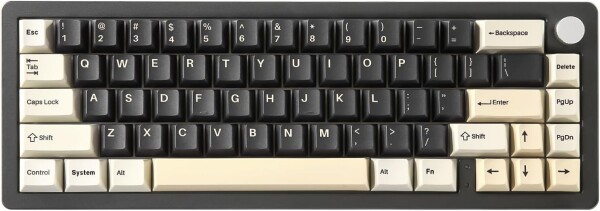 YUNZII AL66 ゲーミングキーボード ワイヤレス メカニカル アルミ製 65％ ノブ付き Bluetooth/2.4G/有線 ホットスワップ対応 ガスケット搭載 潤滑済みスイッチ RGB Win/Mac用 技適認証取得（ミルク