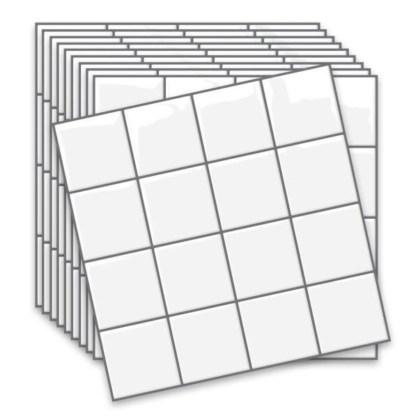 宮沢賢治 バタグルミ化石 土付き 水中保管