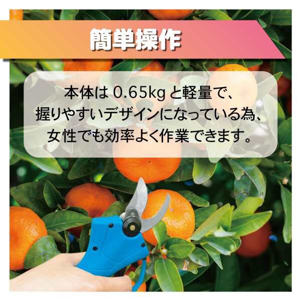 クリーンレーベル コードレス 剪定ばさみ 充電式 ハサミ 電動 剪定バサミ 切断 はさみ 鋏 小型 枝 盆栽 ガーデニング 園芸 14.4V 18V マキタ バッテリー 対応 makita 互換 家庭用 工具  充電器の通販は