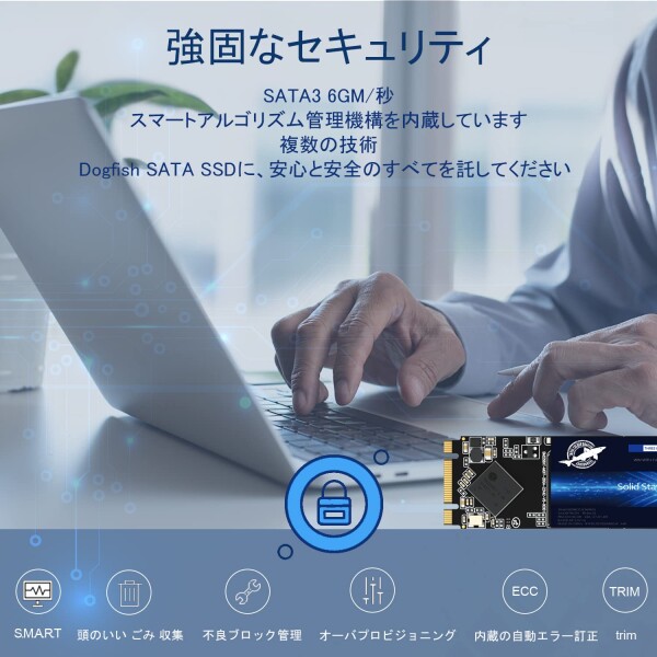 Dogfish M.2 SATA SSD 2280 4TB NGFF 3D NAND TLC 高性能内蔵 SSD 最大読込560MB/s, PC、ノートPCに使用, 含む 128GB 256GB 512GB 1TB 2TB 4TB_3