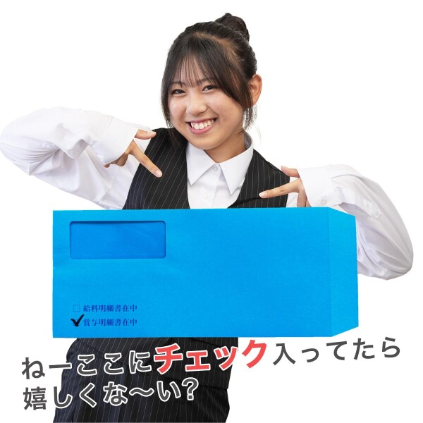 ソリマチSR291対応品 給与明細書用窓付封筒 (ブルー, 500枚)_4
