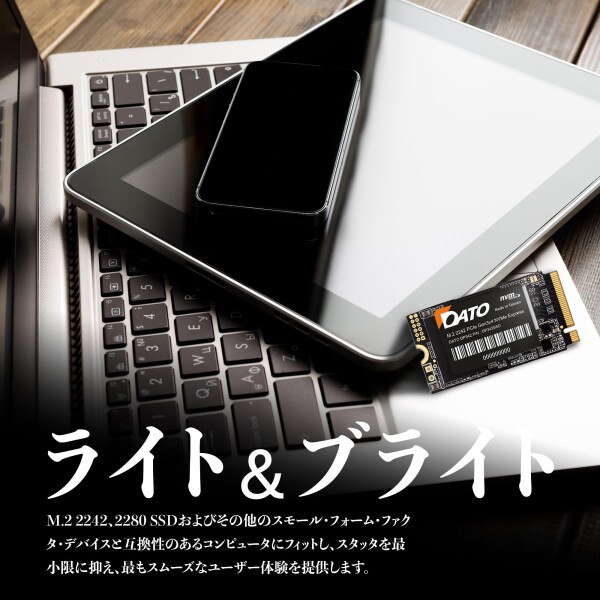 DATO(ダト) SSD 内蔵 DP342 M.2 2242 PCIe Gen3 x 4 NVMe 1TB 内蔵ソリッドステートドライブ ( : DATO M.2 2242 SSD 1TB, PCIe Gen3x4 NVMe 1.3 Internal