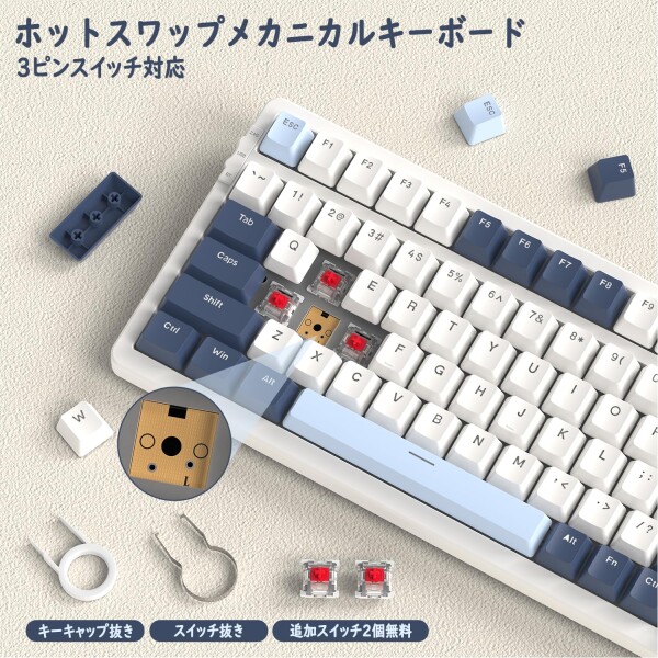 ZIYOU LANG K8 ゲーミングキーボード ワイヤレス メカニカルキーボード 100キー 赤軸 テンキー ホットスワップ対応 ガスケットマウント カスタムRGBバックライト 2.4Ghz/ Bluetooth 5.0/Type-C有線 Win_3