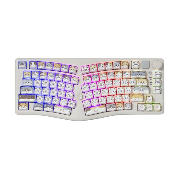 OUSEITECH LEOBOG A75 アリスレイアウトキーボード メカニカルキーボード ゲーミング アリスレイアウト PBTキーキャプ ホットスワップ対応 83キー ガスケット搭載 RGBバックライト BT5.0/2.4G/USB-C