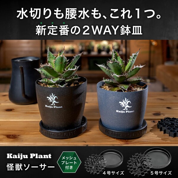 こばやしゆふ 耳付きオーバル鉢 Kaiju Plant 怪獣ソーサーNo.5 鉢皿 5号 メッシュスペーサー付き 4枚