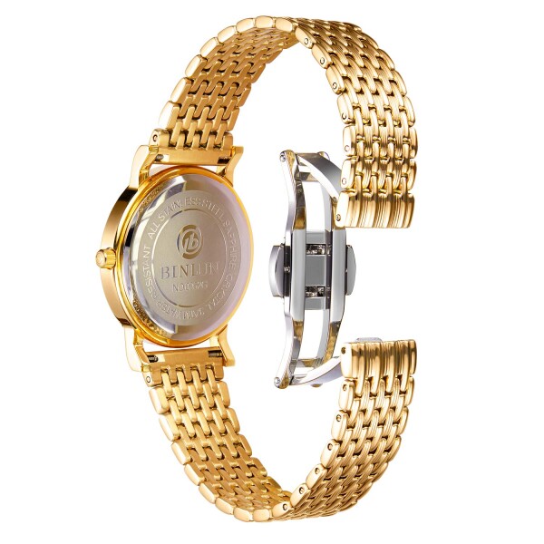 BINLUN 自動巻き時計 ゴールド レディースでもメンズでも 箱付き 並行