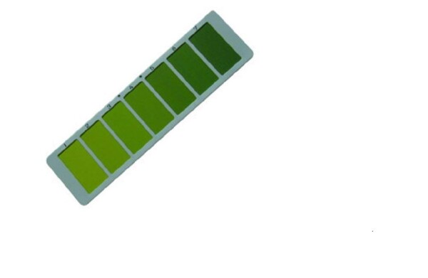 葉色カラースケール（水稲用）標準葉色票