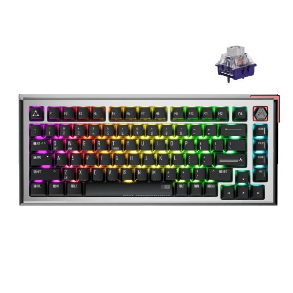 DrunkDeer A75 ウルトララピッドトリガーキーボード 75% eスポーツゲーミングキーボード 磁気スイッチ - 調節可能な作動 - 0.01mm RT Plus RTマッチ - 8K Hz、ANSI、ブラック - Qian Switch