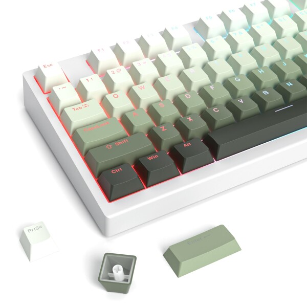 135キー キーキャップ ダブルショット PBT 光透過 Keycaps、OEMプロファイル ミニマリストスタイル カスタム シャインスルー メカニカルキーボード用キーキャップ (Gradient cyan)