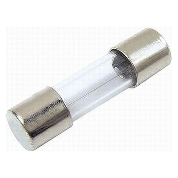 冨士端子工業 ガラス管ヒューズ 125V10A （Φ5.2×20mm） FGMB125V10A