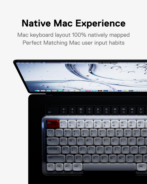 MelGeek O2 75% ワイヤレスメカニカルキーボード、クリーミーな