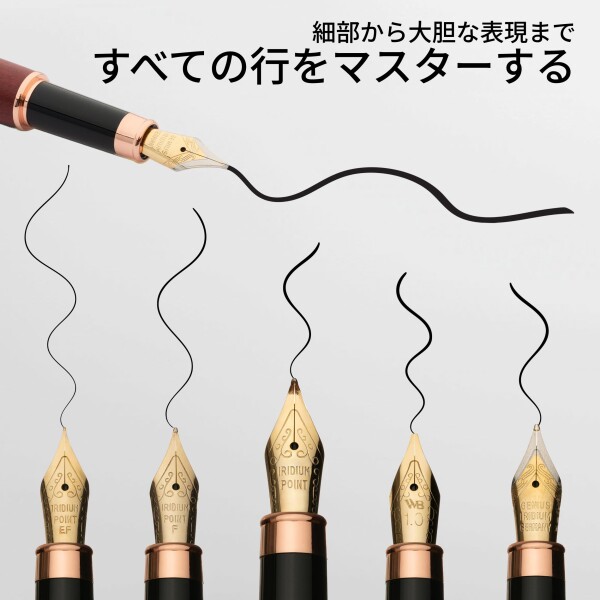Wordsworth & Black Fountain Pen Gift Set, インク瓶、6個のインクカートリッジ、インクコンバーター、4本の替えペン先、高級竹、ジャーナリング、カリグラフィー、滑らかな書き味のペン (バイオ_3