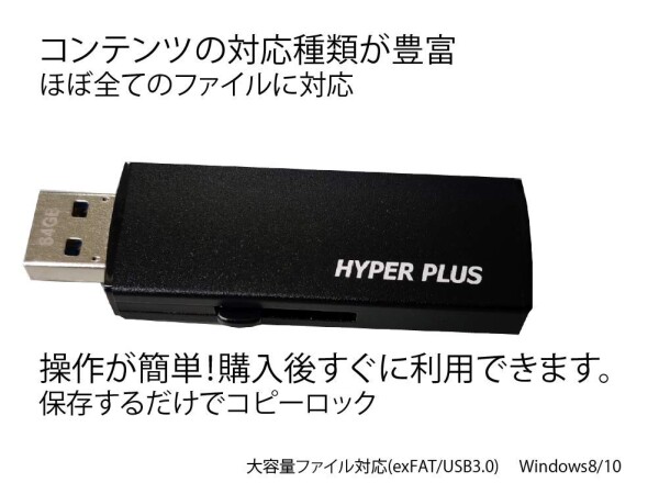 Hyper Plus USBメモリ ハイパープラス Ver7 (HP-128GBシルバー) コピーガード 在宅勤務 出張 テレワーク USB3.2 GEN1 暗号化 windows10/11対応 情報漏えい防止 (128GB)ver7.8 exFAT_6