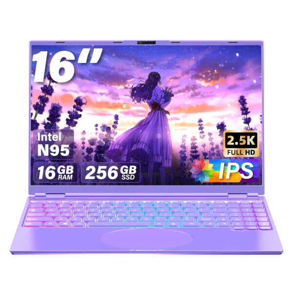 16インチ ノートパソコンパソコンノート/インテルCeleron N95高速CPU 1.7GHz〜3.4GHz/2.5K液晶IPS 解像度(2560*1600)/メモリDDR4 16GB/顔認証/豊富な機能性laptop 初期設定不要 (パープル, 16G+256GB SSD)