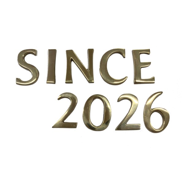 SINCE2026セット 真鍮 ゴールド 45mm 大文字 真鍮 レター アルファベット 看板 表札